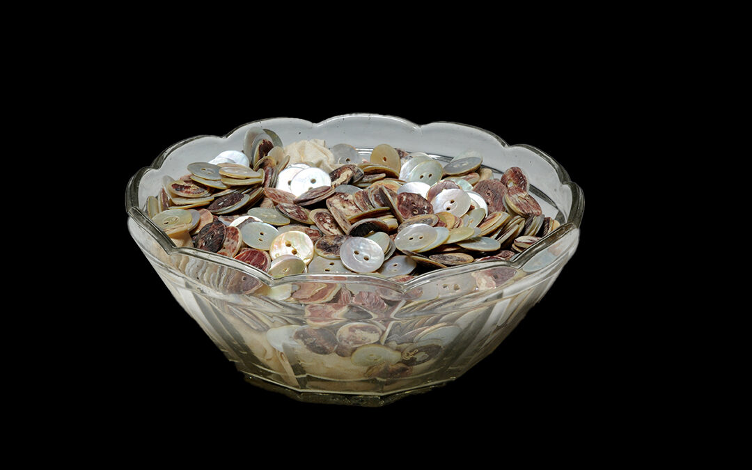 Coppa di vetro con bottoni di madreperla diversi per stadio di lavorazione, tipo di conchiglia e fattura