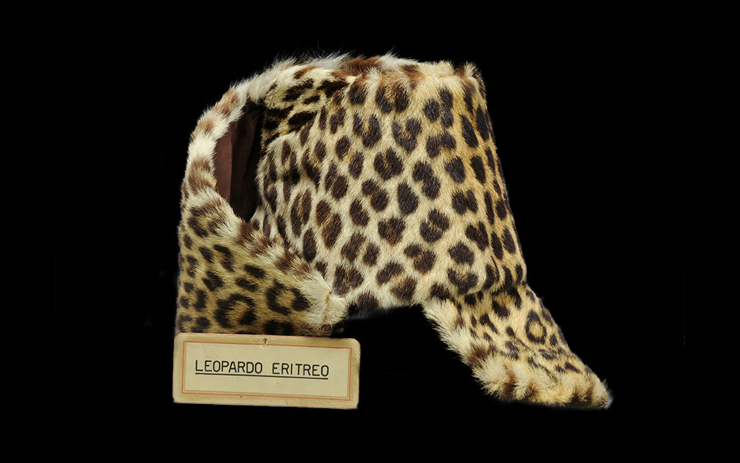 Women’s leopard fur collar, lined in silk