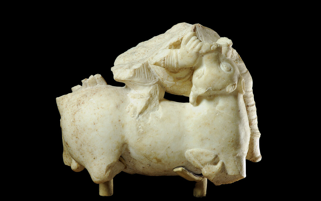 Frammento inferiore della dea Durga che uccide il demone bufalo (Mahishasuramardini), “Marmo Scorretti”