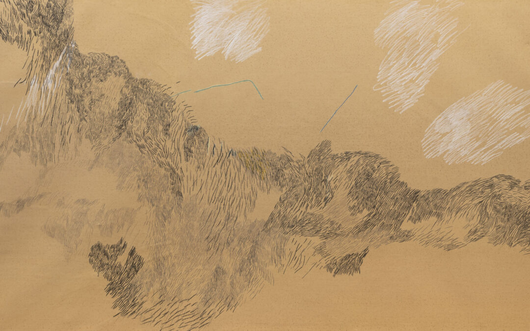 Elisa Montessori.  Il sogno della camera rossa