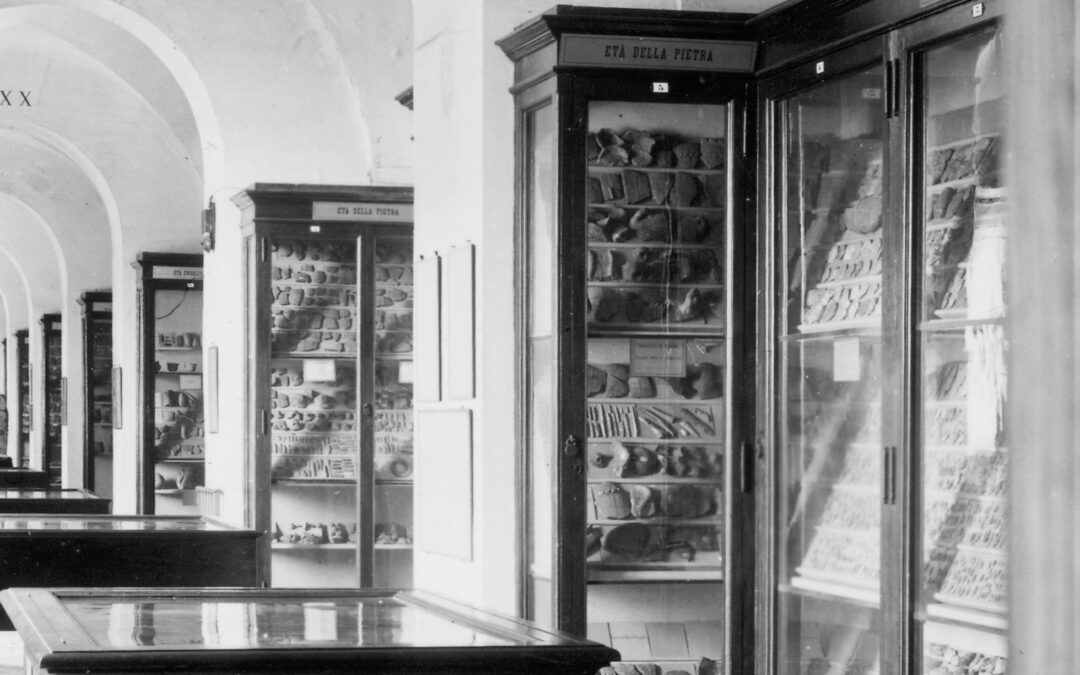 ORIGINE e PROSPETTIVE. Dal Museo Preistorico ed Etnografico di Luigi Pigorini al Museo delle Civiltà: storia di un museo (1876–2026)