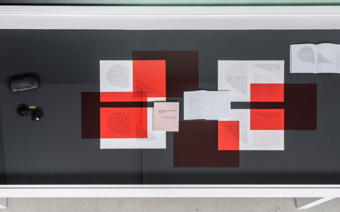 Searching for Appendices to Truths Lost: The Broken Sunglasses of Omar Al Mukhtar