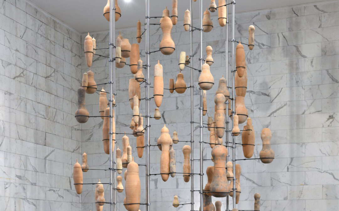 Rights to Seeds, Rights of Seeds