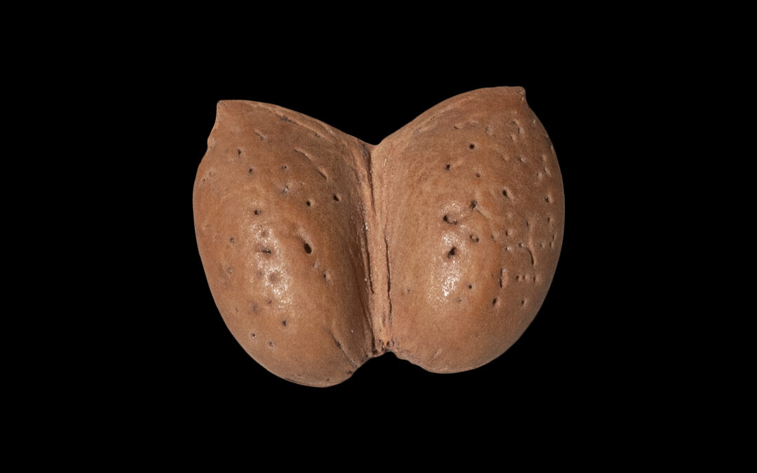 Amuleto con mandorla bigemina