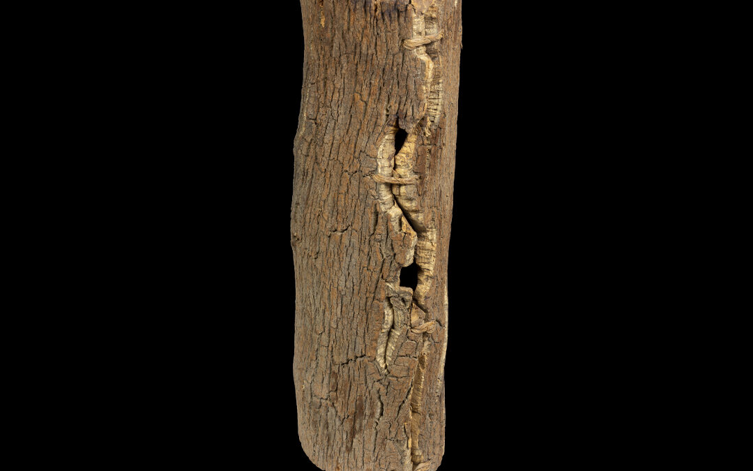 Beehive sewn with marsh grass