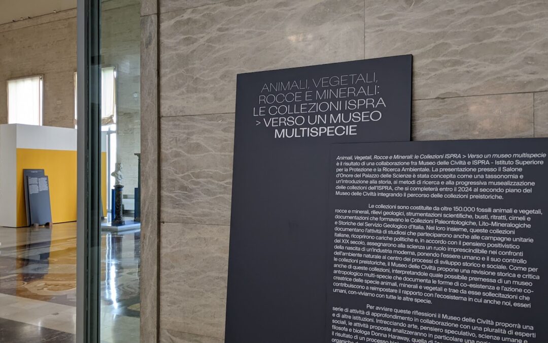 Prove di stampa: Angela Xu