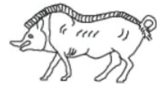 AIAZ Associazione Italiana di Archeozoologia