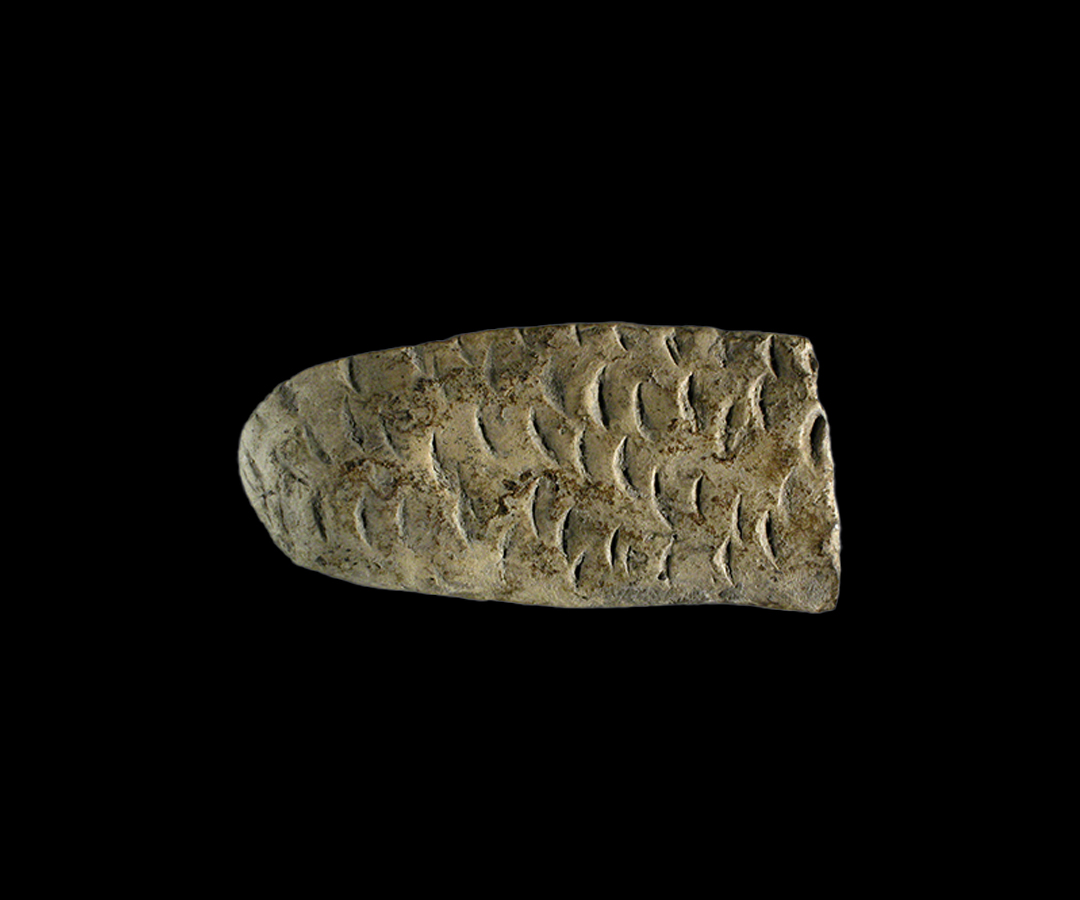 Tavoletta enigmatica in impasto, Fontanellato(PR) Inv. MPE 55922
