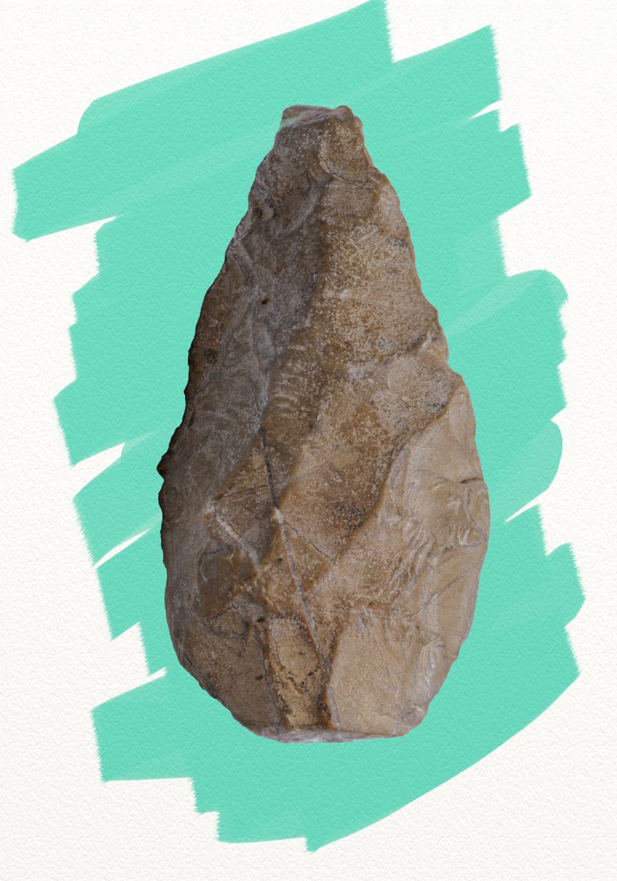 Amigdala