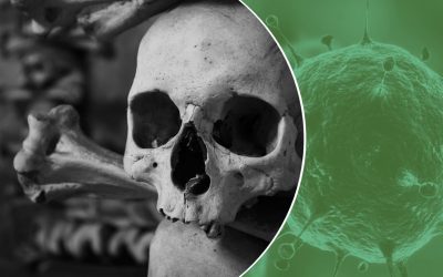 Dieci millenni di evoluzione del virus dell’epatite B