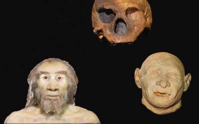 Il Cranio del Circeo in 3D