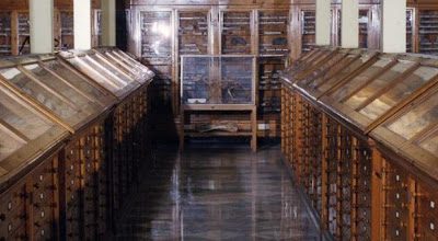 Convenzione Mibact-Ispra per la valorizzazione del patrimonio geologico presso il nostro Museo