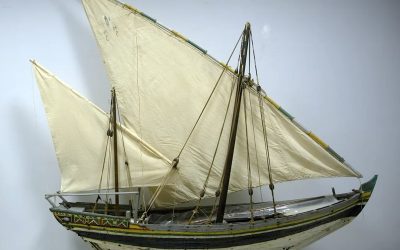 Il sambuco