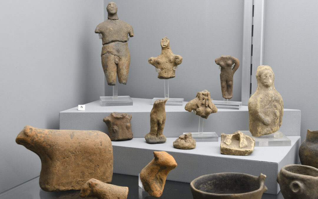 Un viaggio nel tempo, dalle origini alle prospettive dell’umanità